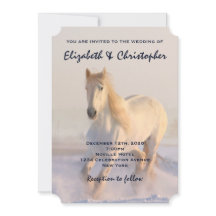 Vacker White Horse Galloping i Snö Rustic