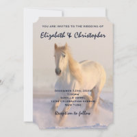 Vacker White Horse Galloping i Snö Rustic