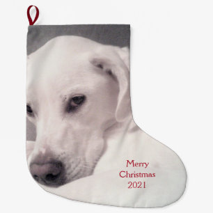 Vacker White Labrador Mix Puppy Hund Grått Stor Julstrumpa