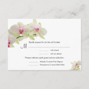 Vacker White och Shock rosa Orchids OSA kort