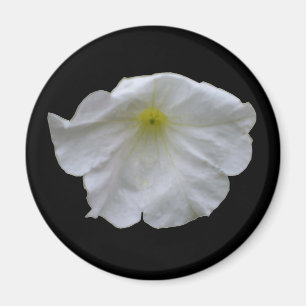 Vacker White Petunia Magnet