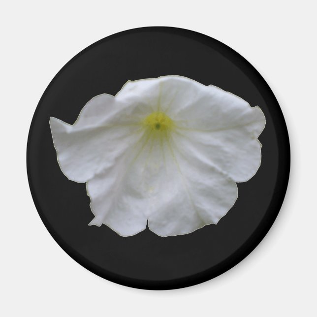 Vacker White Petunia Magnet (Framsidan)