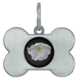 Vacker White Petunia Pet Tag ID-bricka Husdjur