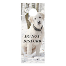 Vacker White Pyrenees