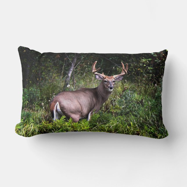 Vacker Whitetail Buck Lumbar Pillow Lumbarkudde (Framsida)