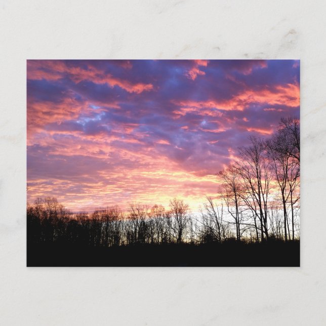 Vacker Winter Sunrise Vykort (Framsida)