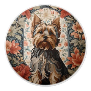 Vacker Yorkie   Yorkshire Terrier Porträtt Knopp
