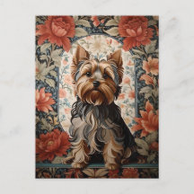 Vacker Yorkie | Yorkshire Terrier Porträtt