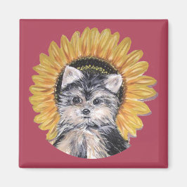 Vacker Yorkshire Terrier Hund Magnet