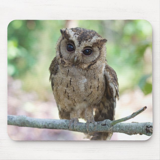 Vacker Young Uggla Mouse Pad Musmatta (Framsidan)