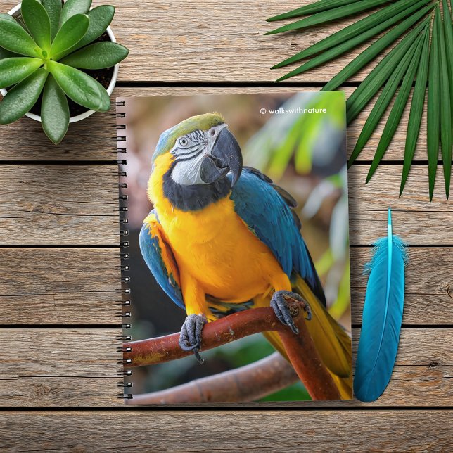 Vackerblått och Guld Macaw Anteckningsbok (Beautiful Blue and Gold Macaw on a Branch Journal Cover Photo)