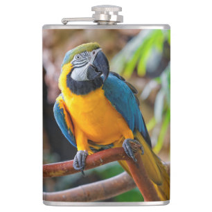 Vackerblått och Guld Macaw Fickplunta