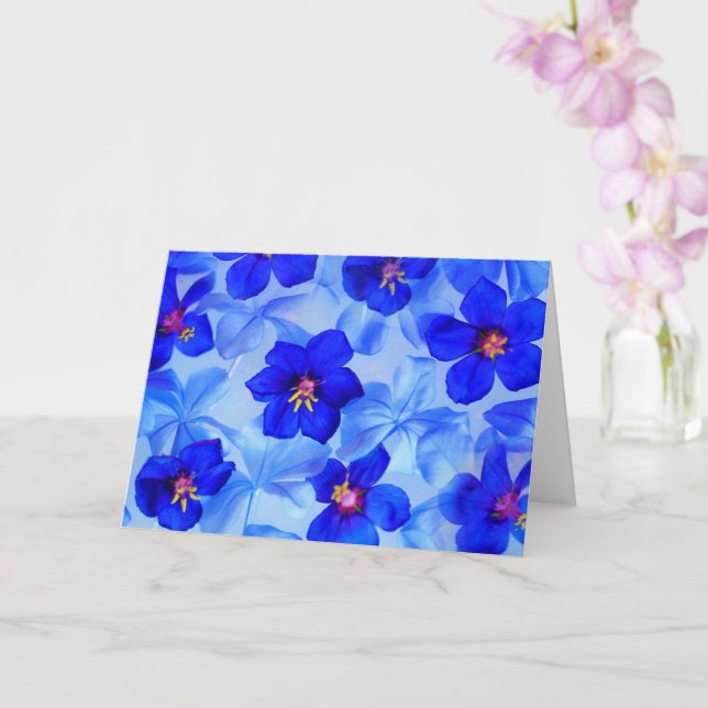 Vackerlig blått kort (Orkide)