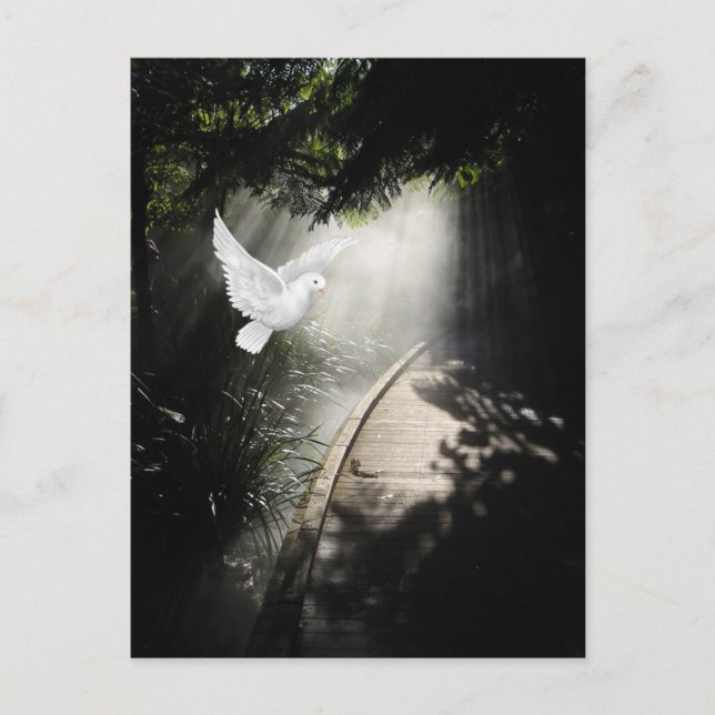 Vackerlig flygduva vykort (Framsida)