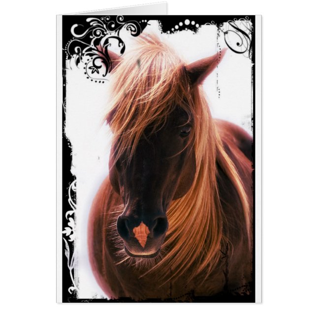 Vackerlig häst hälsningskort (Framsidan)
