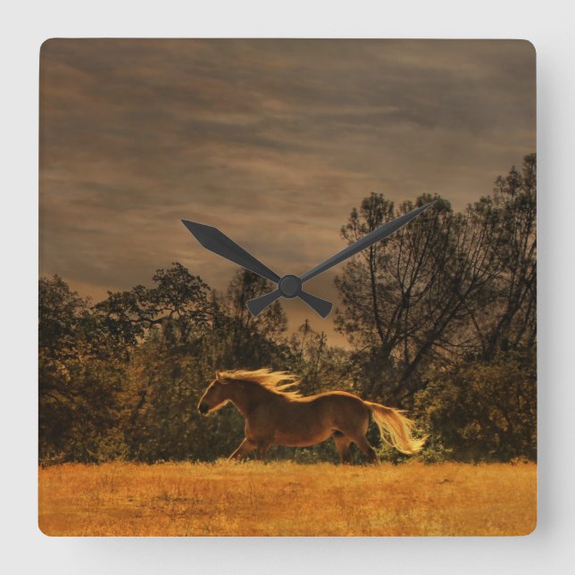 Vackerlig häst Lover Wall Clock Fyrkantig Klocka (Framsida)