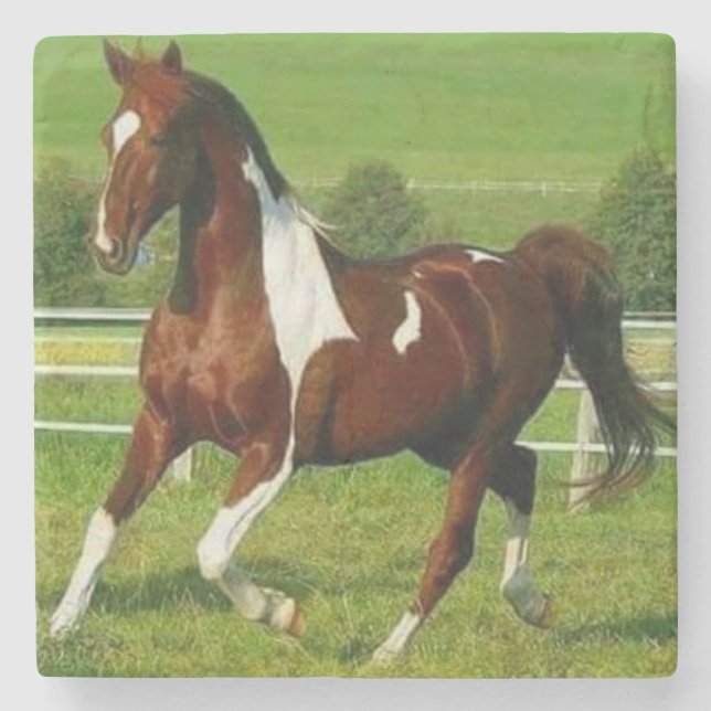 Vackerlig häst stenunderlägg (Framsidan)