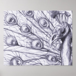 Vackerlig himmel poster