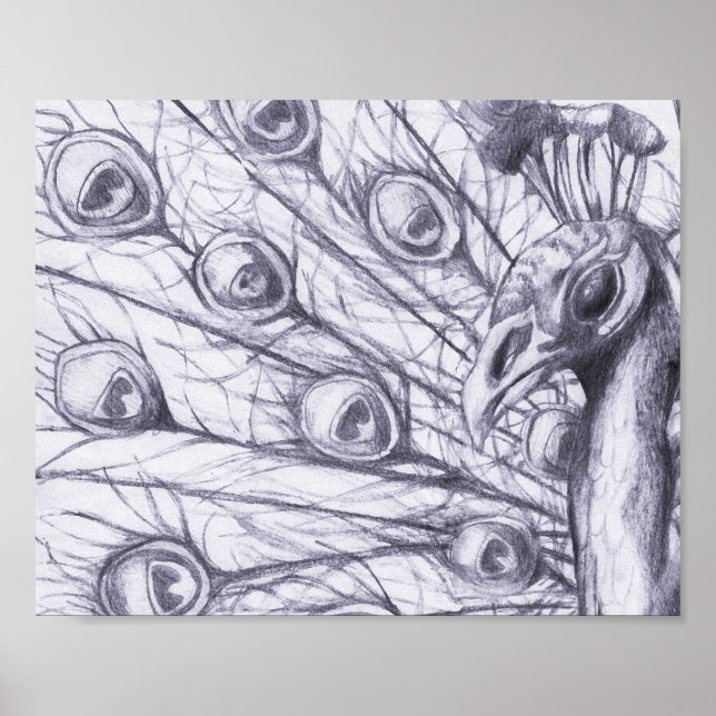 Vackerlig himmel poster (Framsidan)