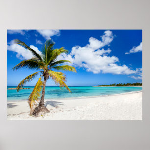 Vackerlig karibiska strand poster