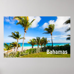 Vackerlig karibiska strand poster