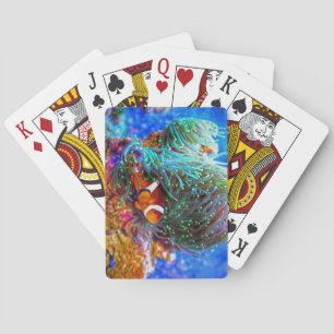 Vackerlig korallrev med clown Fish Casinokort