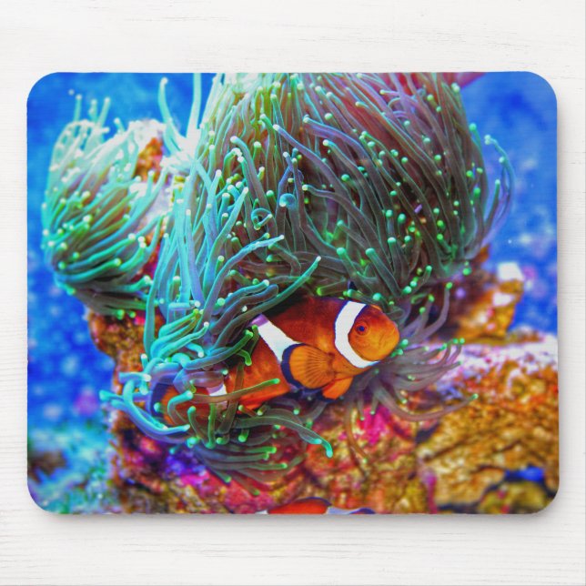 Vackerlig korallrev med clown Fish Musmatta (Framsidan)