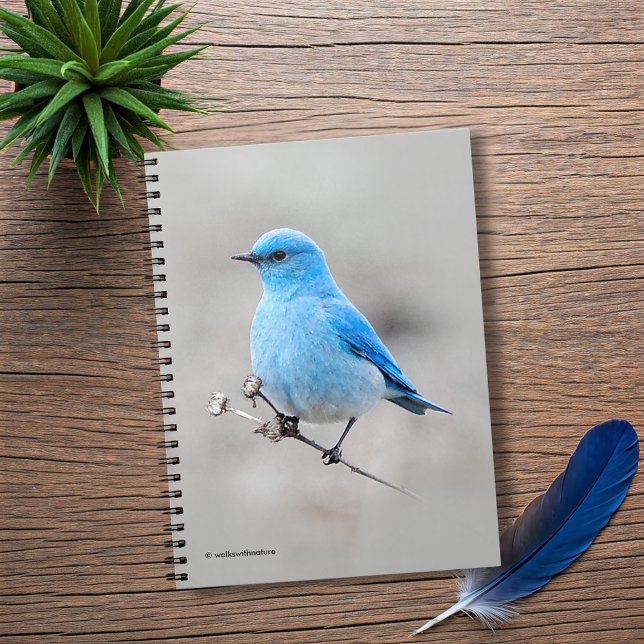 Vackerlig Mountain Bluebird Anteckningsbok (Beautiful Mountain Bluebird on the Tansy Journal Cover Photo)