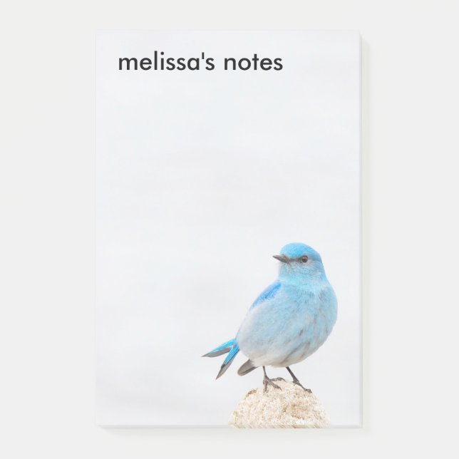 Vackerlig Mountain Bluebird Post-it Block (Framsida)