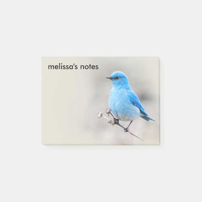 Vackerlig Mountain Bluebird Post-it Block (Framsida)