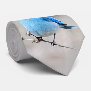 Vackerlig Mountain Bluebird Slips