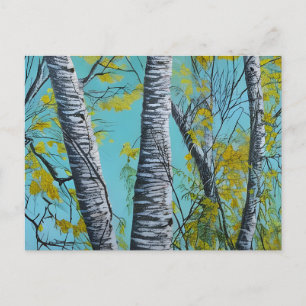 Vackerlig sommarBirch Vykort