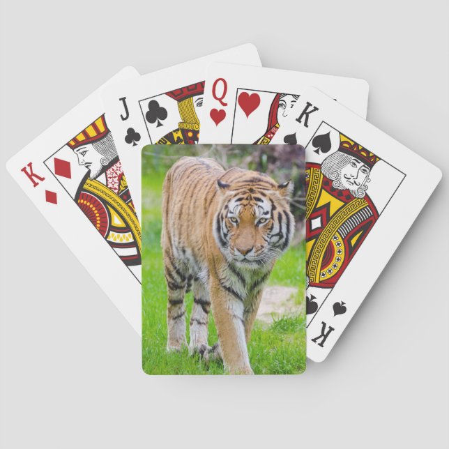 Vackerlig tiger casinokort (Baksidan)