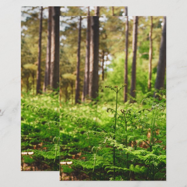 Vackerlig trädskog brevpapper (Fram/baksida)