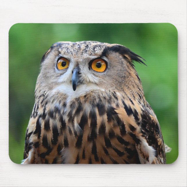 Vackerlig Uggla Mouse Pad Musmatta (Framsidan)