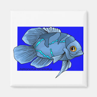 Vackerös, tropisk Oscar Fish Magnet