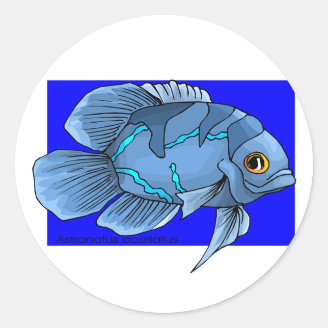 Vackerös, tropisk Oscar Fish Runt Klistermärke (Framsida)