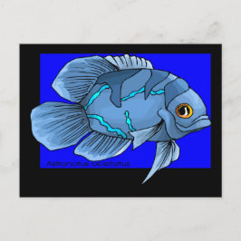 Vackerös, tropisk Oscar Fish Vykort