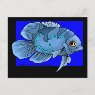 Vackerös, tropisk Oscar Fish Vykort