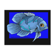 Vackerös, tropisk Oscar Fish