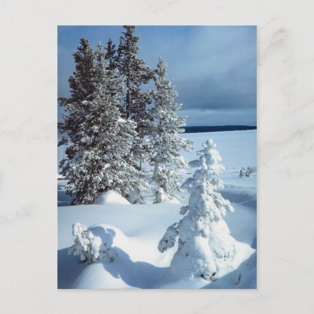 Vackerscenen Vykort (Framsida)