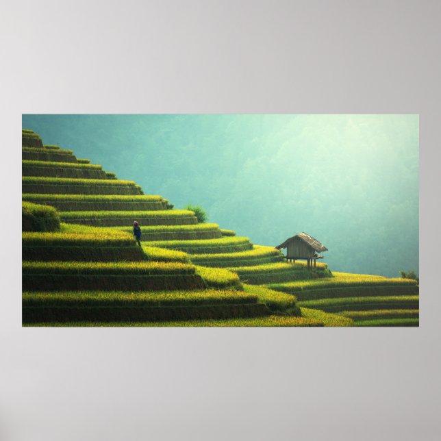 Vackert Asien Poster (Framsidan)