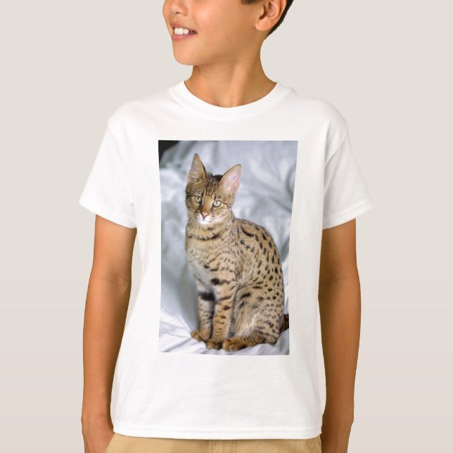 Vackert bengaliskt kute Ansikte Tee Shirt (Framsida)
