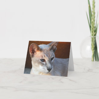 Vackert blå Ögon Kort