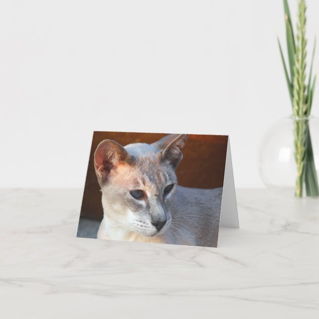 Vackert blå Ögon Kort (Framsida)