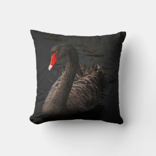 Vackert Black Svan Flytande på en flod Kudde