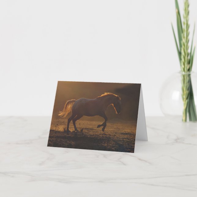 Vackert blankt appaloosa Horse Note Card Kort (Framsida)