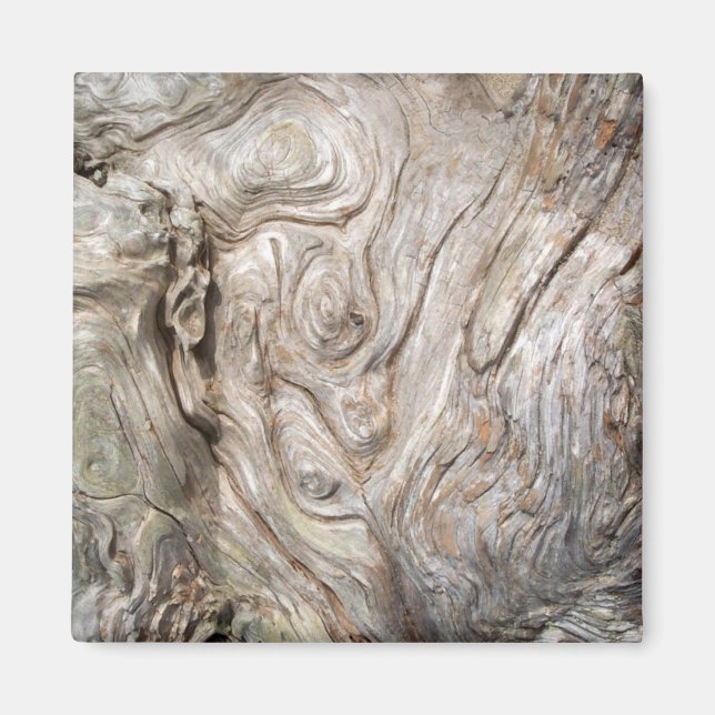 Vackert borrträ Nature's Artwork Magnet (Framsidan)