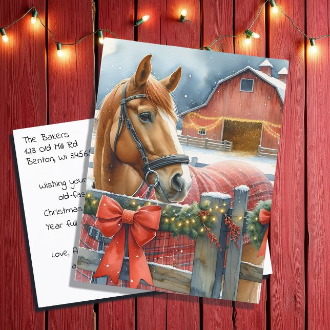 Vackert Brown Horse vid en julklapp Vykort (Skapare uppladdad)