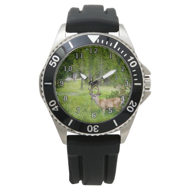 Vackert Buck i Meadow eWatch Watch Armbandsur (Framsida)